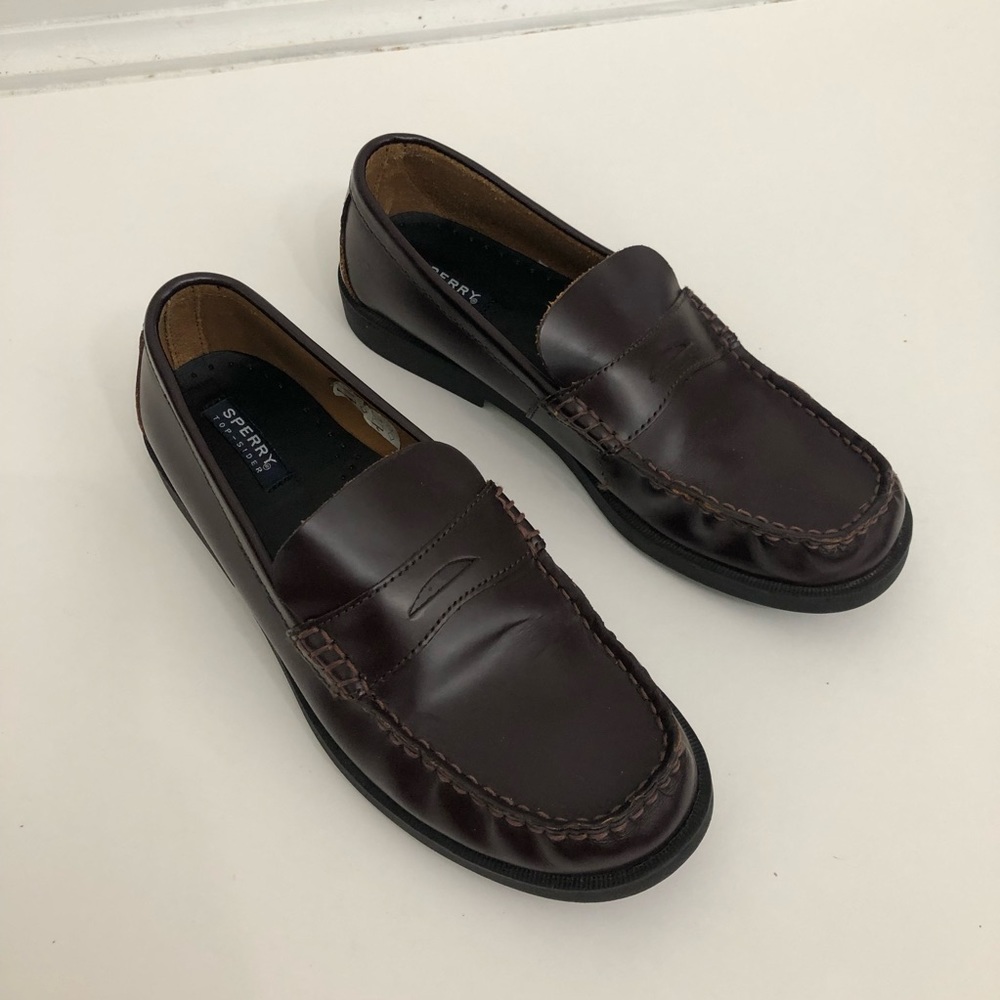 Sperry Men's Brown Loafers